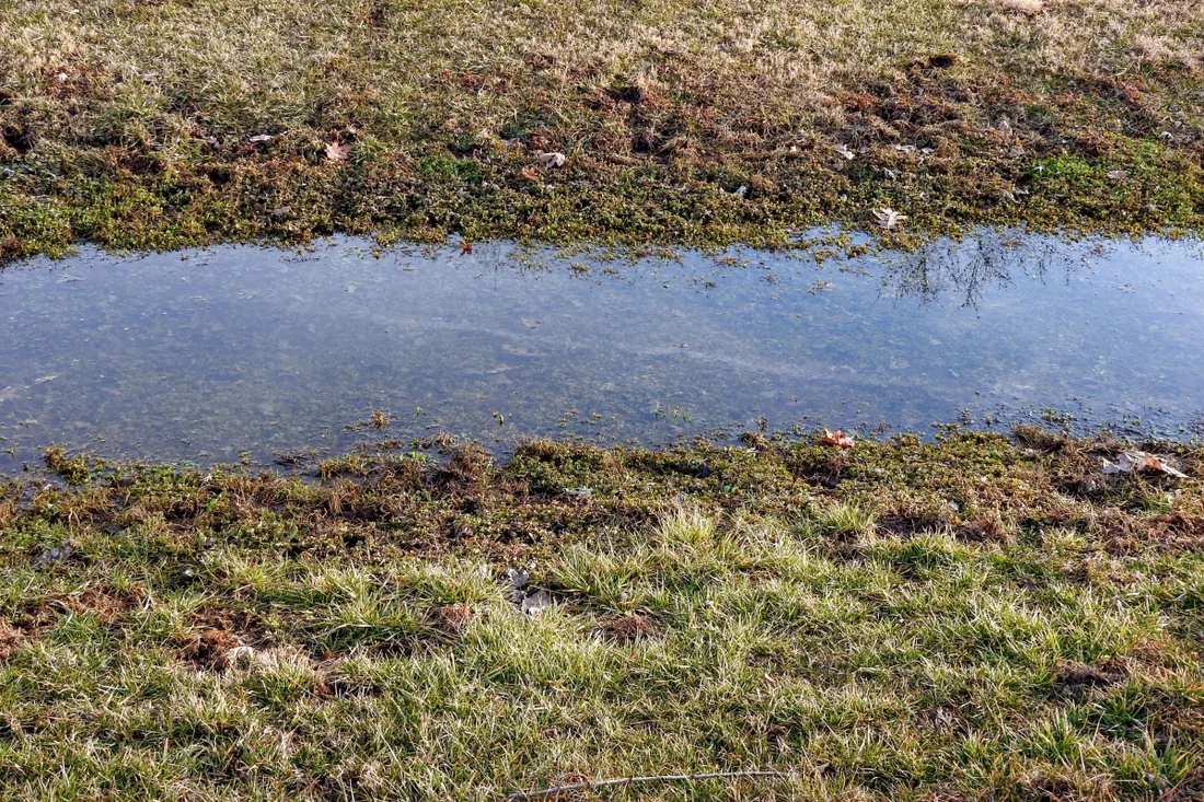 subsoil drainage
